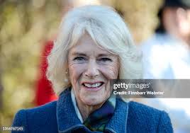 87 Photos & High Res Pictures