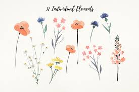 That sees i'll be teaching you to paint three different wildflowers. Wildflower Watercolor Floral Clipart Wildflower Drawing Wildflower Watercolor Floral Clipart