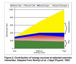 Your body can store roughly 500 grams, or 2,000 calories' worth, of carbohydrates in your liver and muscles. Energy Sources At Different Exercise Intensities Explained Road Bike Rider Cycling Site