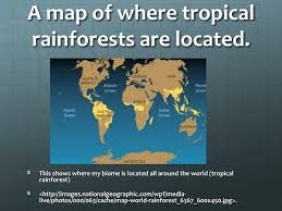 This map shows the location of the wolrd's rainforests. Ppt Tropical Rainforest Biomes Powerpoint Presentation Free Download Id 2394266
