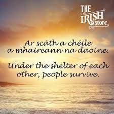 Because few things have such a huge impact on happiness and the enjoyment, depth and plain fun of life as the friendships we have. 12 Famous Gaelic Irish Phrases Translations The Irish Store Irish Phrases Irish Gaelic Irish Quotes Gaelic