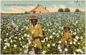 Pin On Afrotexan Houston Texas