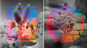 領導人必備的生成式AI導入指南