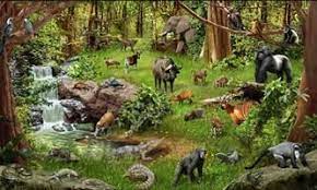 3 sinif fen bilimleri canli ve cansiz varliklar hayvanlar ormanlar