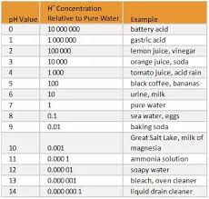 What Are Some Common Household Acids And Bases Quora