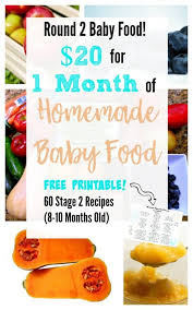 Baby food websites best list. 20 For 1 Month Of Stage 2 Homemade Baby Food With Free Printable Of 60 Recipes Urban Mom Tales