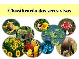 Apesar desta classificação satisfazer as necessidades no momento era uma forma simples que para um estudo aprofundado, ou seja, não tinha importância cientificamente por isso os estudiosos buscaram ao longo da história, classificaçar dos seres vivos veja na lista abaixo Classificacao Dos Seres Vivos