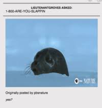 1 800 Are You Slappin Image Gallery List View Know Your Meme