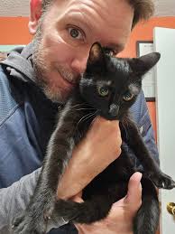 F.R.I.E.N.D.S Funko Pops Collection