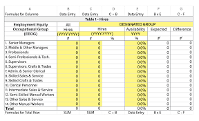 Employment Equity Tasks