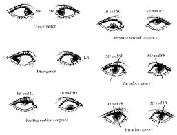 Image result for artistic divergence eyeballs
