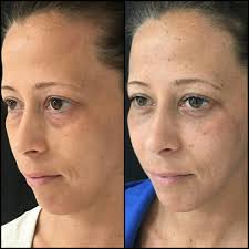 Image result for Blepharis transvaalensis