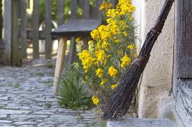 Goldlack Duftige Bauerngartenpflanze Pflanzen Einjahrige Pflanzen Garten
