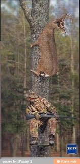 Deer Hunter Haha Hunting Humor Hunting Jokes Funny Deer