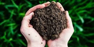 வீட்டிலேயே எப்படி உரம் தயாரிக்கலாம்? - மாடித்தோட்டம் ஆர்வலர்களுக்கு எளிய  வழிகாட்டுதல்