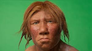 Check spelling or type a new query. How Did The Last Neanderthals Live Bbc Future