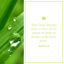 When the green light is first introduced to the book, it seems very. The Incredible Symbolism Of The Color Green In The Bible Symbolism Of The Color Green In The Bible