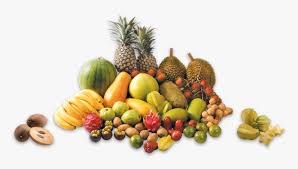 Malaysia ›› agriculture ›› list of fruits companies in malaysia. Malaysian Fruits Hd Png Download Transparent Png Image Pngitem