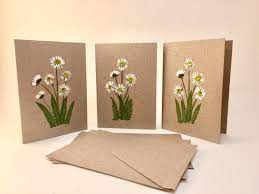 How to make greeting cards by pressed flowers / part 1 tags: Pressed Flower Cards Set Of 3 Greeting Cards Handmade Item Etsy Flower Cards Handmade Pressed Flowers Diy Pressed Flower Crafts