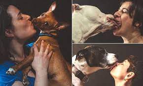 French kiss dog