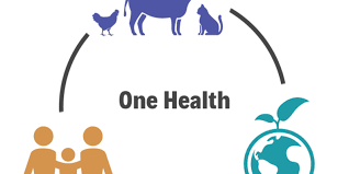Over 20 years of experience has led to a deep understanding of the complex requirements of the insurance industry. One Health Bundesverband Fur Tiergesundheit E V
