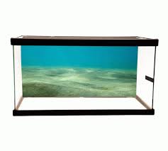 Ocean Bottom Cling On Aquarium Background Aquarium Backgrounds Aquascape Aquarium