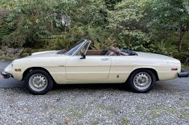 Image result for Avorio 1982 Alfa-Romeo