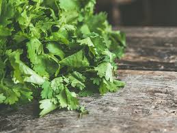 how cilantro removes most of heavy metals from your body of heavy metals from your body