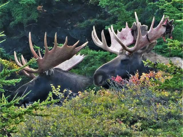 Alaska Magazine | Reasons to Discover Alaska