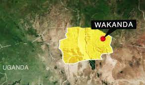 1 history 1.1 origins 1.2 s.h.i.e.l.d. Black Panther Where Is Wakanda Supposed To Be Located In Africa Films Entertainment Express Co Uk