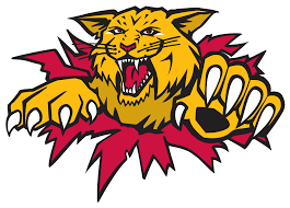 A small wild animal of the cat family that looks similar to a pet cat and that lives mainly in…. Moncton Wildcats Release March Game Schedule 91 9 The Bend