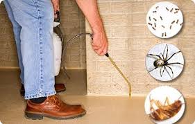 هناك الكثير من الحشرات التي تنتشر في المنازل و البيوت و الحدائق و تختبيء في اماكن صغيرة و ضيقة و يصعب الوص Pest Control Cockroach Control Pest Control Services