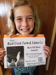 It was so tough to pick our Reserve Best in Show. Congratulations to  Lorraine Gamble and the adorable Millie xx