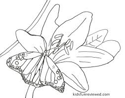 There has been a big increase in color books specifically for people within the last 6 or 7 years. Butterfly Coloring Pages Sweet Party Place