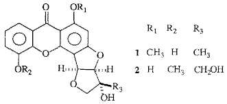 Image result for Psorospermum febrifugum