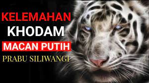 Kisah prabu siliwangi dan legenda ajian macan putih. Pin Di Me God Enough