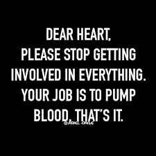 Pin On Funny Quotes
