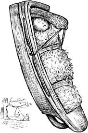 Flathead Native Indians Location History And Culture Porte Bebe