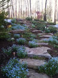 Forget Me Not Path Landscaping On A Hill Sloped Front Yard Front Yard Landscaping