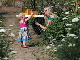 Avas flowers® is a florist offering same day flower. Gardenview Flower Farm Lets You Create Your Own Bouquet The Blade