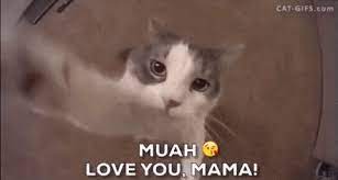 Artistic Cat Gif Cute Kitty Hugging Kissing Mama Muah I Love You Happy Mother S Day Gif Happy Mothers Happy Mothers Day