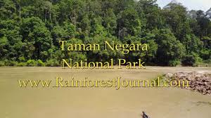 A huge cave, high ceiling and many pictureristic opportunities. Taman Negara National Park Rainforest Journal