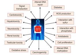 But is it possible to automate the expertise needed to become an effective therapist, using sophisticated algorithms and programming, when humans spend a lifetime. Exposures And Health Effect Of Arsenic On Humans Adapted With Download Scientific Diagram