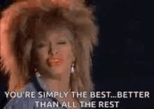 It's gonna work out fine 05. Tina Turner You Are Simply The Best Gifs Tenor