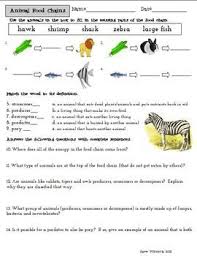Animal Food Chains Activity Sheet Food Chain Activities Food Chain Activity Sheets