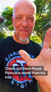 Saw Giant Picon Seed in Real Life