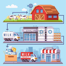 Image Result For Dairy Farm To Table Process Milk Production Milk Factory Dairy Farms