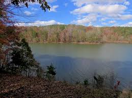 The cost of senior care in seneca, sc. Waterfront Lots Land For Sale On Lake Hartwell In Anderson Sc