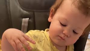 Amazon.com : Kirecoo Owl Silicone Suction Plate