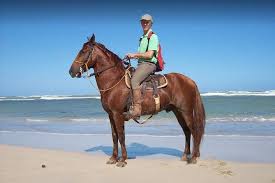 Horseback Riding View 4